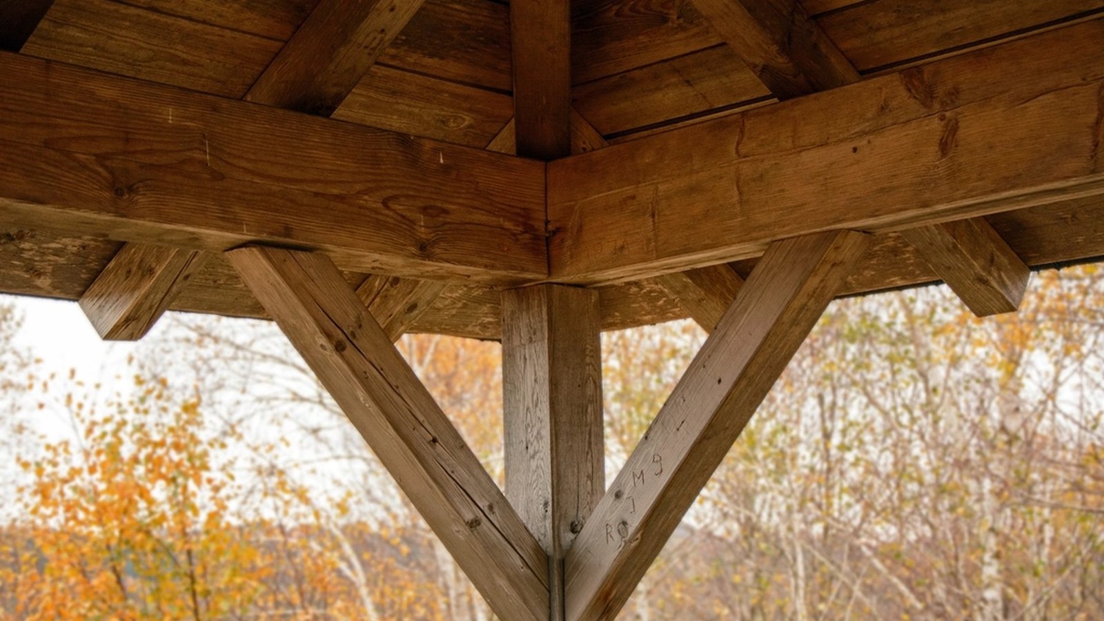 Carport aus Holz selbst planen: Flachdach, Spitzdach oder Walmdach?