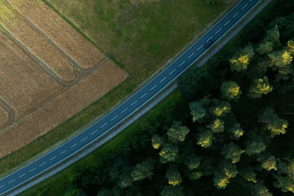 Gründach 2026: Aufbau, Kosten und ökologischer Nutzen